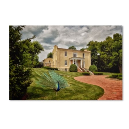 Lois Bryan 'A Peacock On The Lawn' Canvas Art,16x24